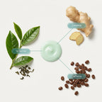 Estratti botanici BioDensity+: te verde, zenzero, caffeina